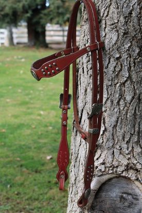 Picture of Chestnut antique bridle
