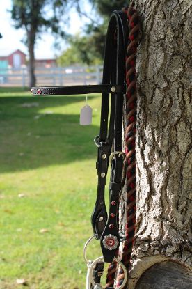 Picture of Bridle/Reins/Snaffle/Slobber Strap Combo