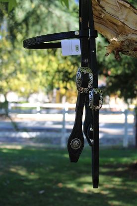 Picture of Black Bridle