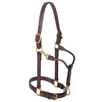 Picture of 1" leather halter by Weaver Leather