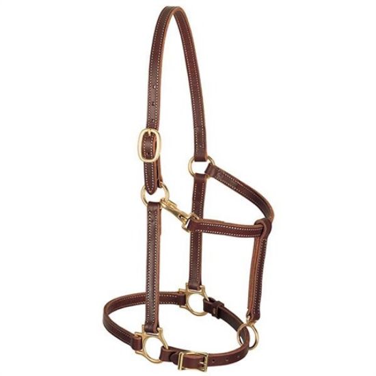 Picture of 3/4" Leather Halter by Weaver Leather