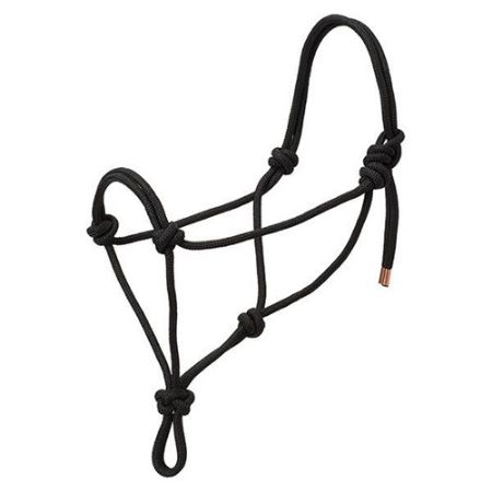 Picture for category Rope Halters & Leads