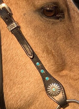 Picture of Bridle/Reins/Snaffle/Slobber Strap Combo 