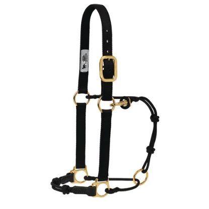 Picture of Horseman's Halter by Weaver Leather