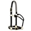 Picture of Padded Adjustable Halter by Weaver Leather