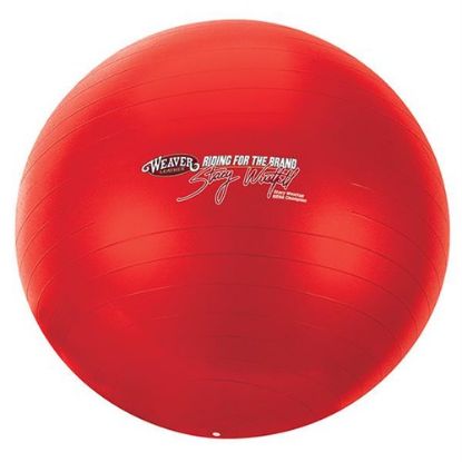 Picture of Equine Activity Ball - Large/Red